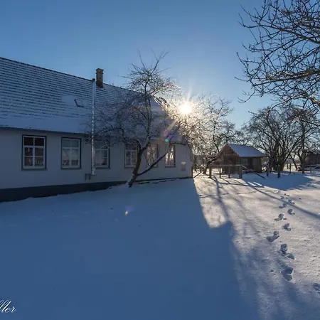 Loft In Der Alten Schreinerei Дом отдыха Billingsbach