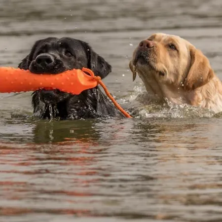 Дом отдыха Loft In Der Alten Schreinerei Billingsbach