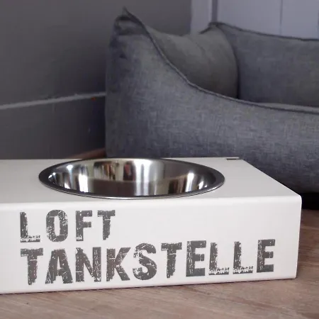 Дом отдыха Loft In Der Alten Schreinerei Billingsbach