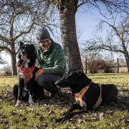 Loft In Der Alten Schreinerei * Billingsbach